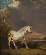 James Ward A horse in a landscape startled by lightning Germany oil painting artist